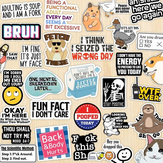 Last Day 49% OFF🔥Set of 130 Pcs Funny Saying Stickers