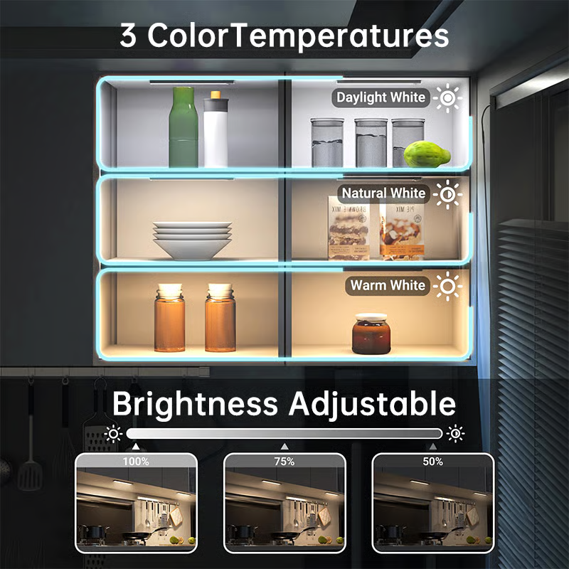 LED Motion Sensor Closet Light
