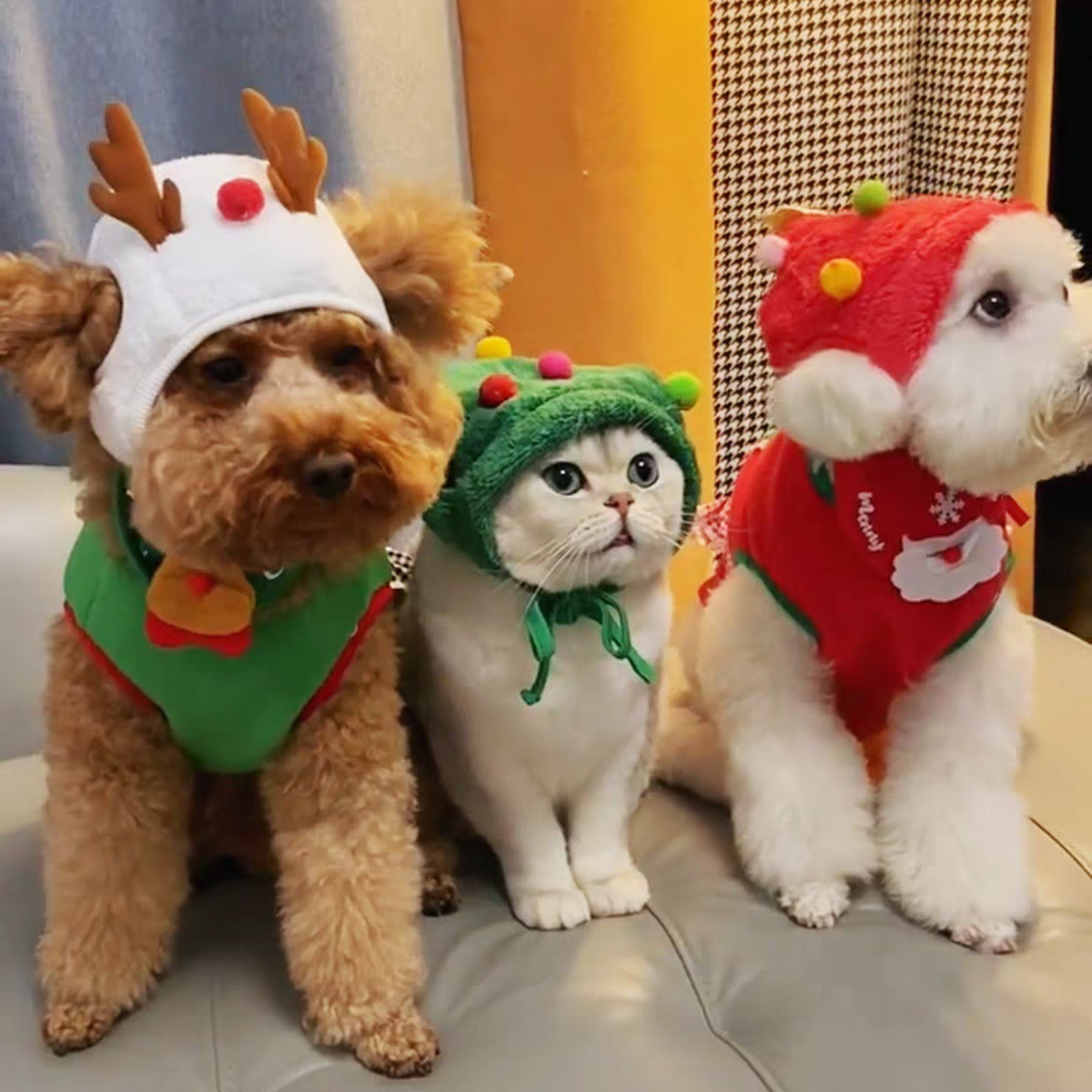 2025 Christmas On Sale🎄Cute Christmas-themed Warm Cat & Dog Outfits
