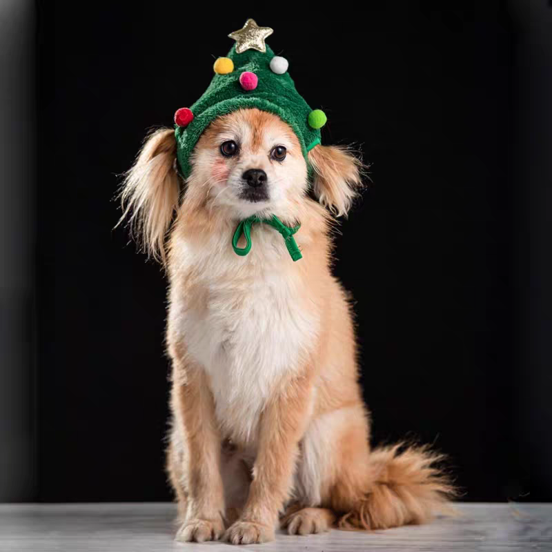 2025 Christmas On Sale🎄Cute Christmas-themed Warm Cat & Dog Outfits