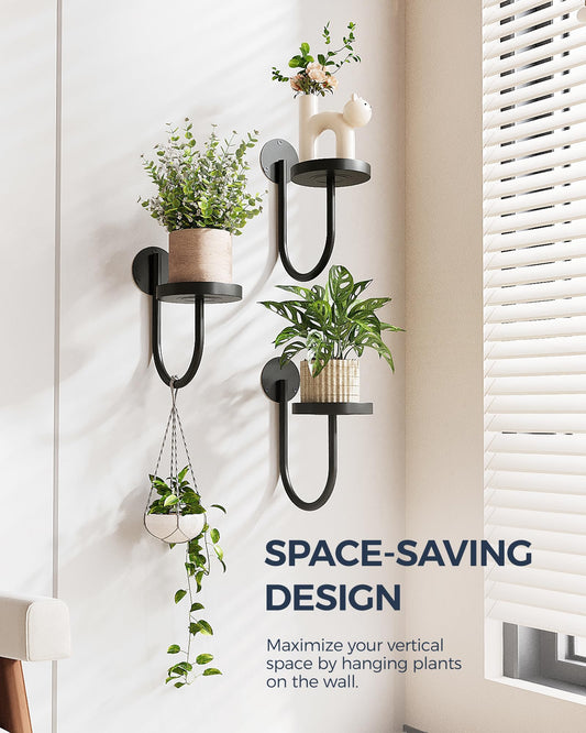 Last Day 49% OFF🔥Wall Plant Holders Modern Indoor Window Plant Hangers🌱