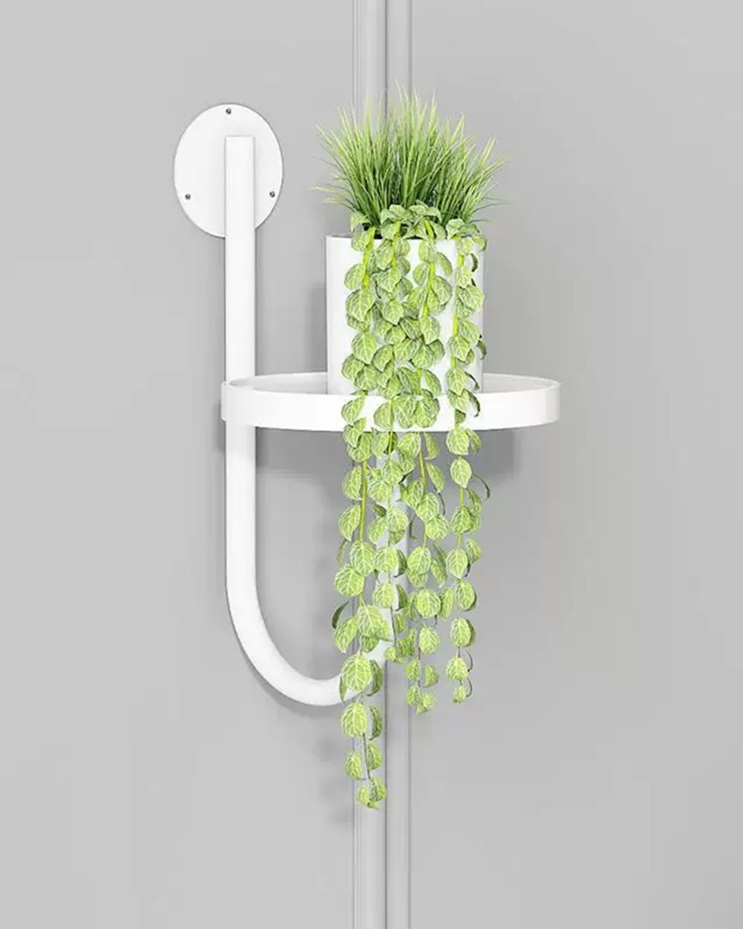 Last Day 49% OFF🔥Wall Plant Holders Modern Indoor Window Plant Hangers🌱