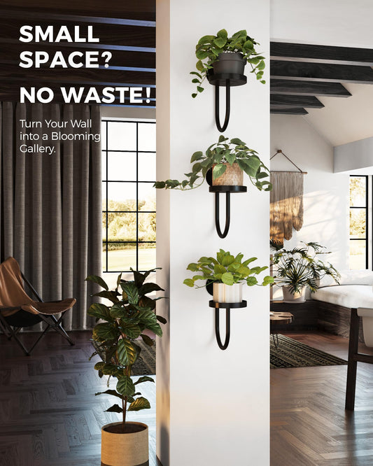 Last Day 49% OFF🔥Wall Plant Holders Modern Indoor Window Plant Hangers🌱