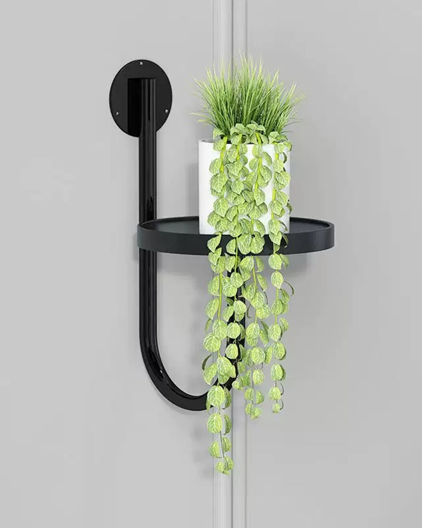 Last Day 49% OFF🔥Wall Plant Holders Modern Indoor Window Plant Hangers🌱