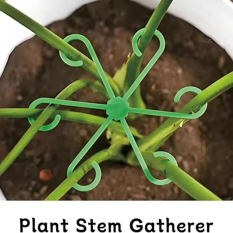 🌱 Reusable Plant Stem Support Clips – Keep Plants Neat & Upright