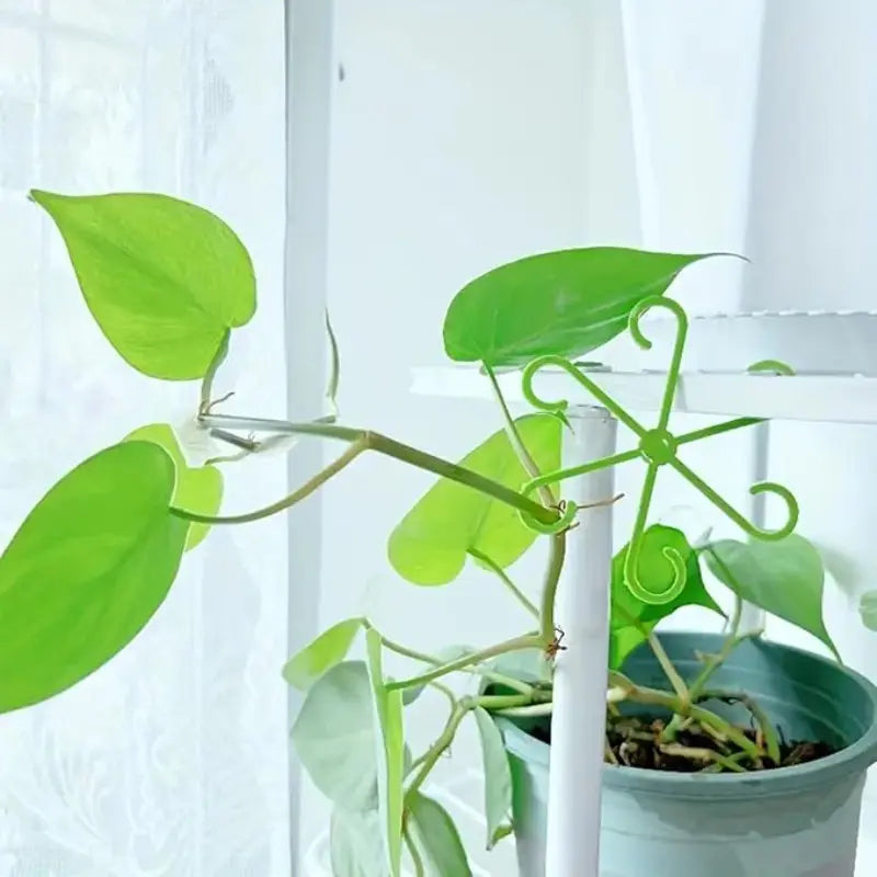 🌱 Reusable Plant Stem Support Clips – Keep Plants Neat & Upright