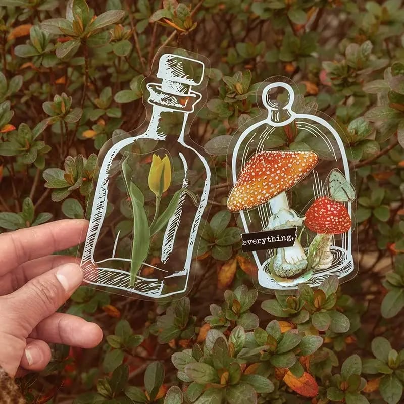 🔥 Last Day 49% OFF – 40pcs Real Dried Flower Transparent Bookmarks 🌸📖