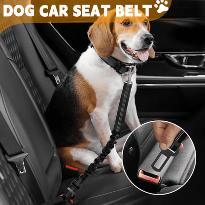 Keep Your Dog Safe While They Enjoy the View — Car Window Safety Leash 🐕🚗