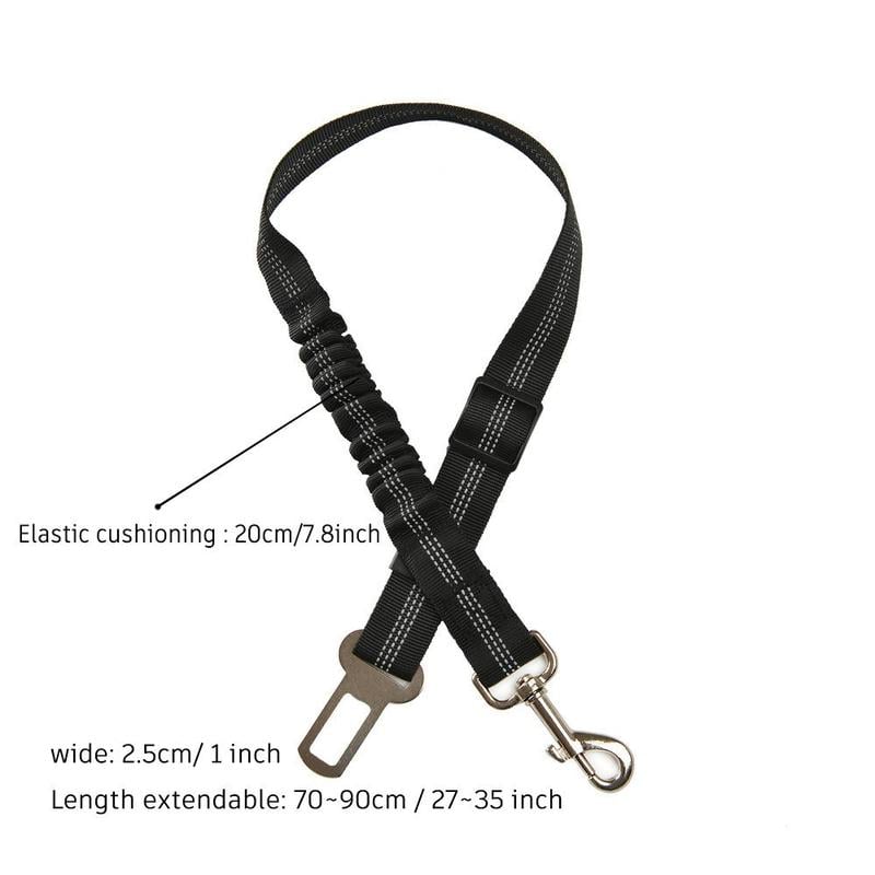 Keep Your Dog Safe While They Enjoy the View — Car Window Safety Leash 🐕🚗