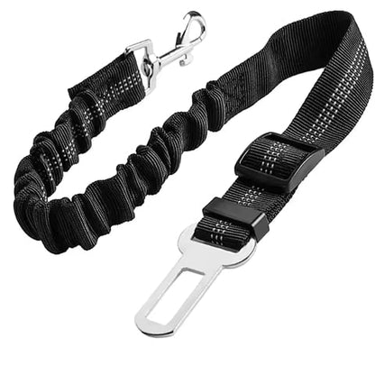 Keep Your Dog Safe While They Enjoy the View — Car Window Safety Leash 🐕🚗