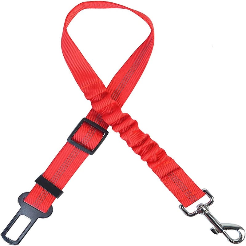 Keep Your Dog Safe While They Enjoy the View — Car Window Safety Leash 🐕🚗