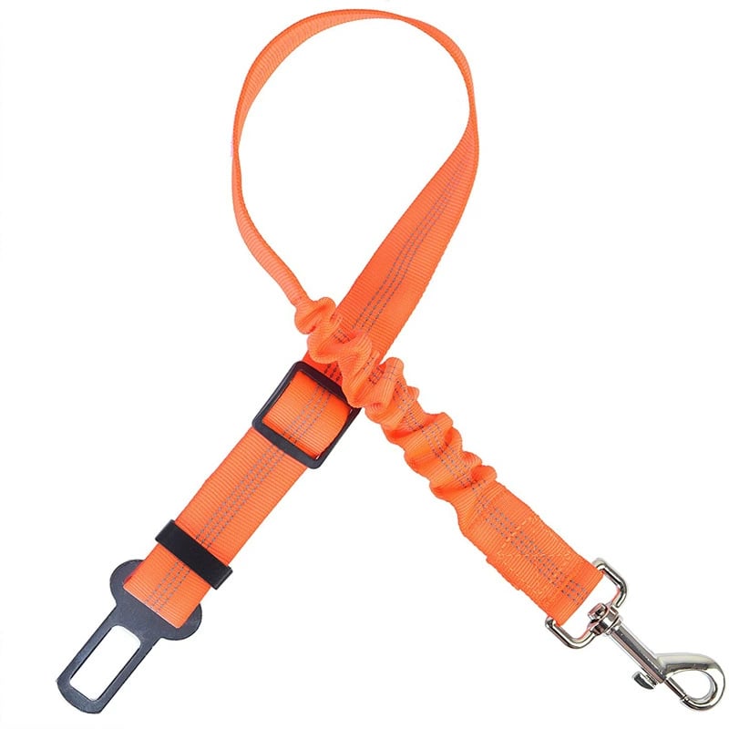 Keep Your Dog Safe While They Enjoy the View — Car Window Safety Leash 🐕🚗