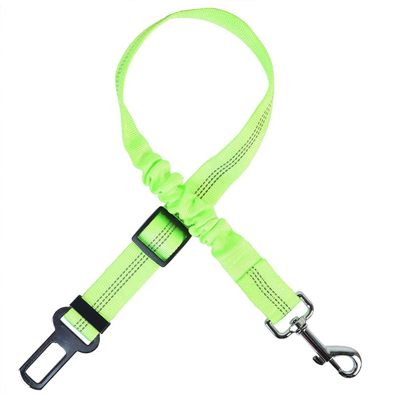 Keep Your Dog Safe While They Enjoy the View — Car Window Safety Leash 🐕🚗