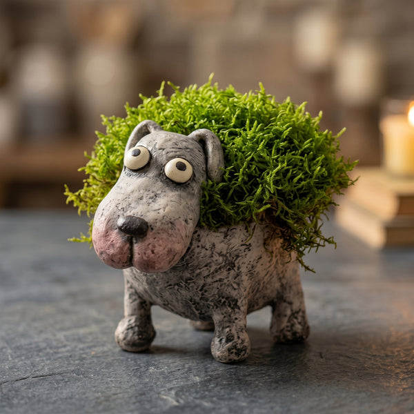 Funny Animal Planter Collection – Tiny Pots with Big Personality
