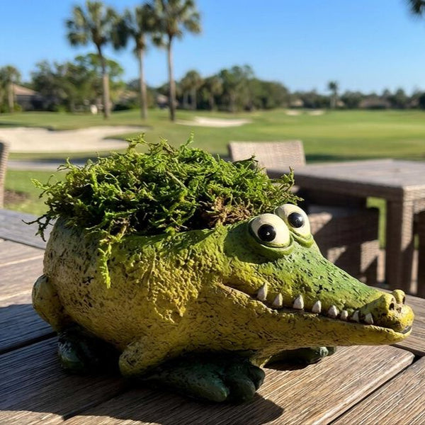 Funny Animal Planter Collection – Tiny Pots with Big Personality
