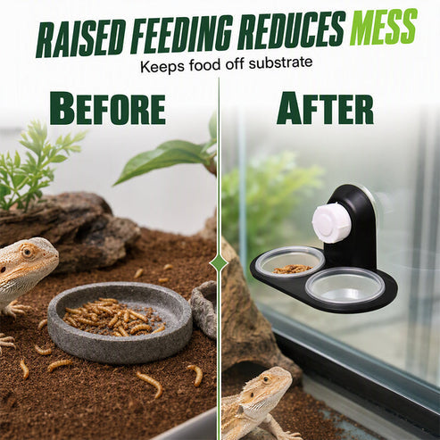 🦎 A Better Feeding Setup – Double Reptile Feeding Ledge