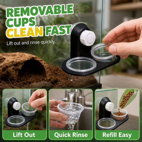 🦎 A Better Feeding Setup – Double Reptile Feeding Ledge