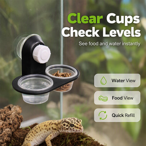 🦎 A Better Feeding Setup – Double Reptile Feeding Ledge