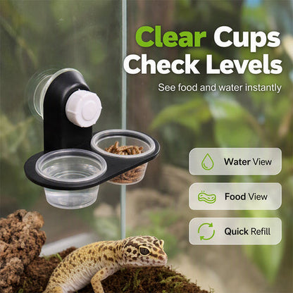 🦎 A Better Feeding Setup – Double Reptile Feeding Ledge