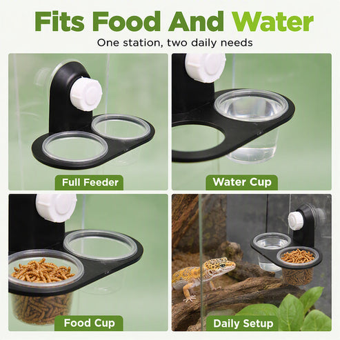 🦎 A Better Feeding Setup – Double Reptile Feeding Ledge