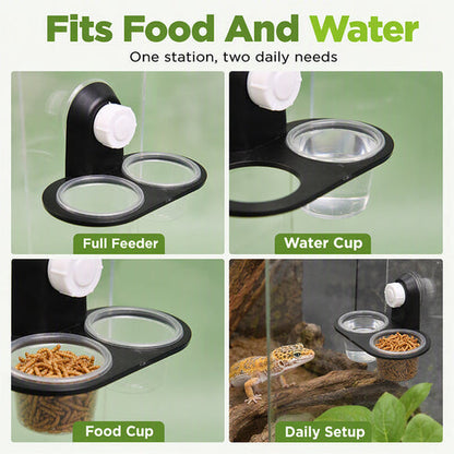 🦎 A Better Feeding Setup – Double Reptile Feeding Ledge