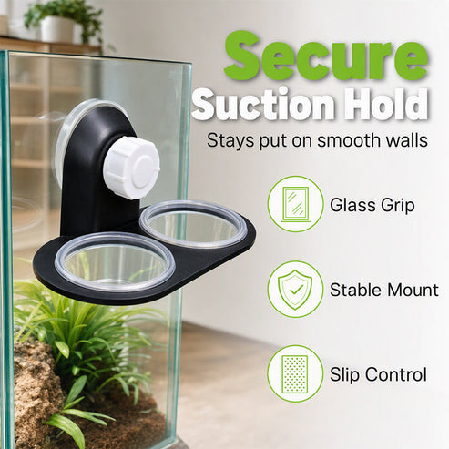 🦎 A Better Feeding Setup – Double Reptile Feeding Ledge