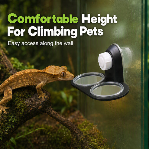 🦎 A Better Feeding Setup – Double Reptile Feeding Ledge