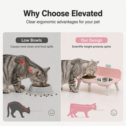 🥣 Elevated Pet Bowls – Detachable & double‑bowl design ✨