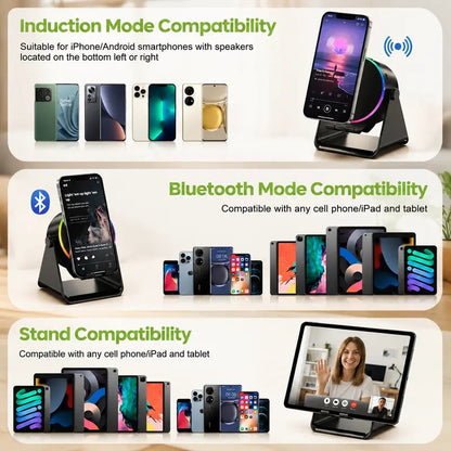 Wireless Induction Bluetooth Speaker