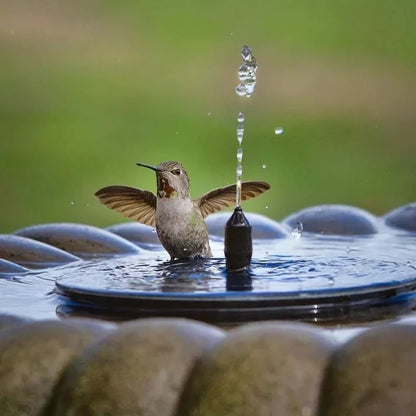 Solar Bird Bath Fountain – Turn Any Garden Bowl Into a Lively Water Feature