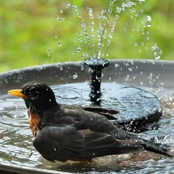 Solar Bird Bath Fountain – Turn Any Garden Bowl Into a Lively Water Feature